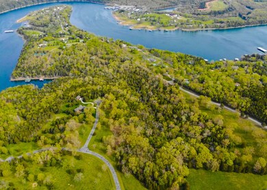 TBD Lodge Circle Lot #Wp002, Galena, MO 65656 - photo 2