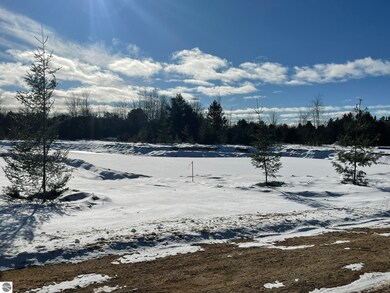 P3 Gerald Miller Rd, West Branch, MI 48661 - photo 2