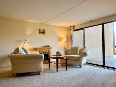 1309 Notchbrook Rd unit 1 CS, Stowe, VT 05672 - photo 7