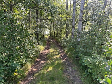 25266 Oak Knoll Trail, Osage, MN 56570 - photo 6