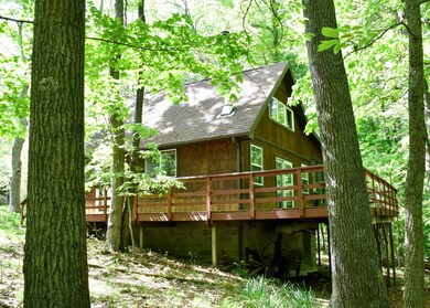 Rear of cabin overlooking ravine