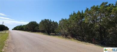 15987 Salado Dr, Temple, TX 76502 - photo 3