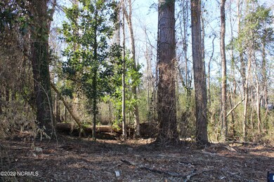 IMG_4821