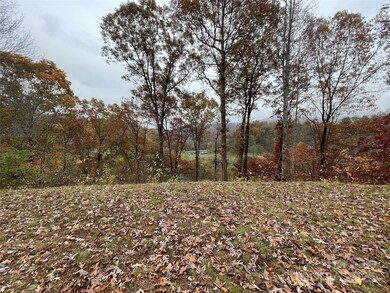 97 Junebug Trail, Waynesville, NC 28785 - photo 7