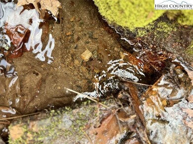 82+/- Acres Doublehead Mountain Rd, Newland, NC 28657 - photo 7