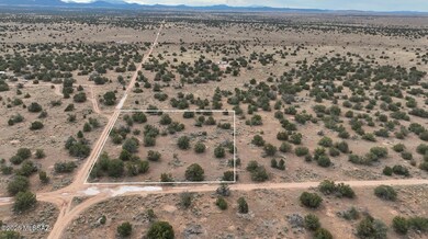 3976 High Grove Rd unit 225, Valle, AZ 86046 - photo 4