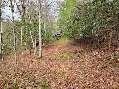 unlisted-address, Tuckasegee, NC 28783 - photo 2