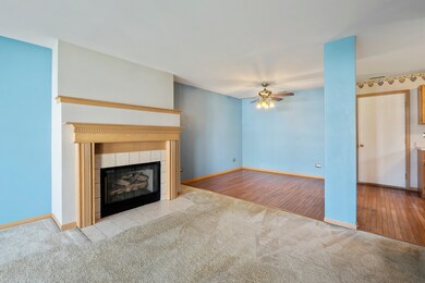 1847 Festival Ct, Joliet, IL 60435 - photo 4