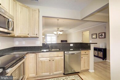 8611 Wintergreen Ct unit 301, Odenton, MD 21113 - photo 5