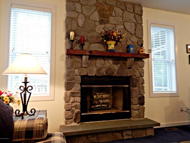 114 Meenesink Ln, Pocono Pines, PA 18350 - photo 5