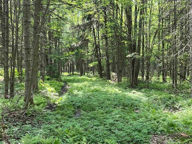 00 Guyette Rd, Lowell, VT 05847 - photo 3