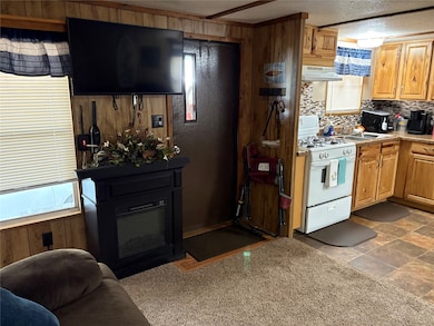 40 Munn Ln, Gordonville, TX 76245 - photo 5