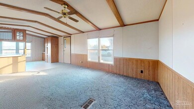 17 S Nixon Ave, Peebles, OH 45660 - photo 4