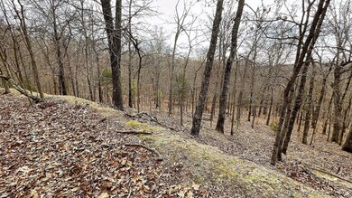 288 Crossroads Dr, Flint Creek, OK 74347 - photo 4