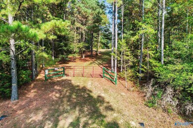8.9 Acres Davis Gap Rd, Vinemont, AL 35179 - photo 2