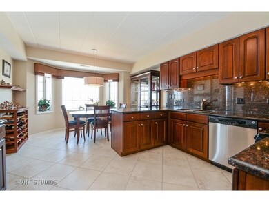 14100 Sheffield Dr unit 102, Homer Glen, IL 60491 - photo 4