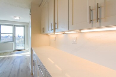 Tremont on the Common unit 8F, Boston, MA 02111 - photo 6