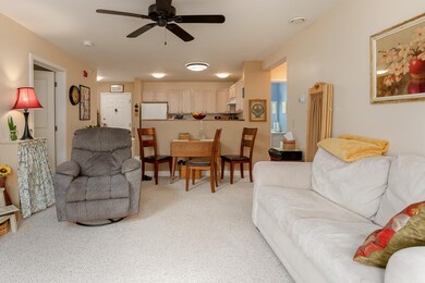 409 Farrell St unit 211, South Burlington, VT 05403 - photo 4