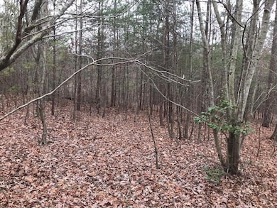 Lot 527 Hobbs 4