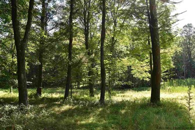 0 Victory Ln unit 20192665, Red Hook, NY 12571 - photo 5