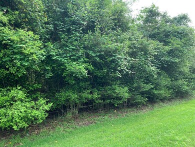 41 Lakeview Drive Lot 4, Alvin, TX 77511 - photo 3