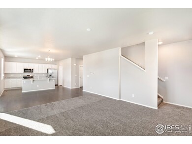 6234 Yellowtail St, Timnath, CO 80547 - photo 6