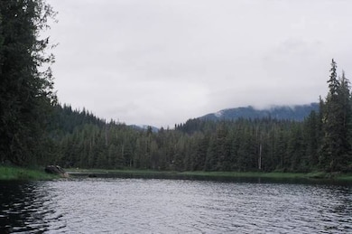 Lot 5 Thom's Place unit 1 Block 4, Wrangell, AK 99929 - photo 2