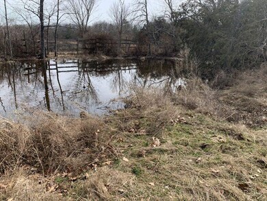 pond