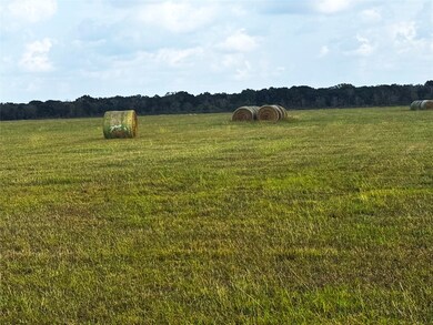 TBD County Road 321, Louise, TX 77455 - photo 6