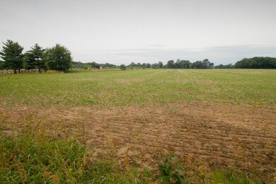 9508 S 10th St, Schoolcraft, MI 49087 - photo 3