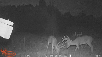 3751 Old Dixie Hwy SE, Dalton, GA 30721 - photo 7