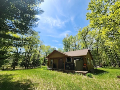 Parcel S McCollum Lk Rd, Curran, MI 48728 - photo 3