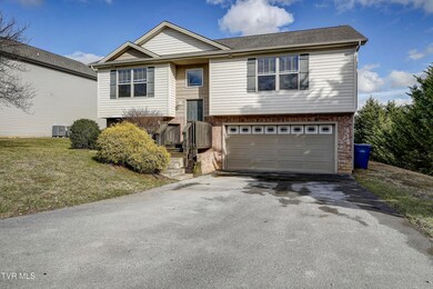 2074 Ida Sue Dr, Jonesborough, TN 37659 - photo 2