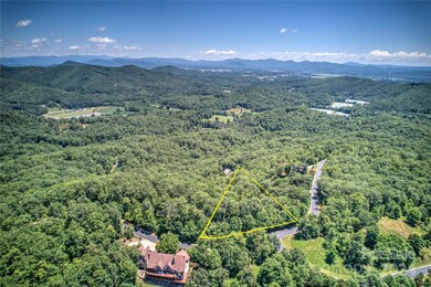 1018 Mills River Way, Horse Shoe, NC 28742 - photo 4