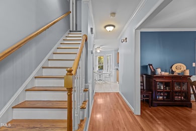 5-web-or-mls-2N6A6585