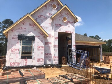 30824 Willow Green Ln, Magnolia, TX 77355 - photo 3