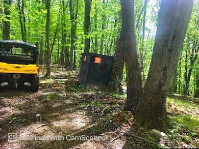 ride thr0ugh woods