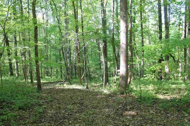 2280 Cedar Grove Rd, Buckhead, GA 30625 - photo 4