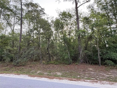0 SW 178th Terrace unit MFROM701738, Dunnellon, FL 34432 - photo 5