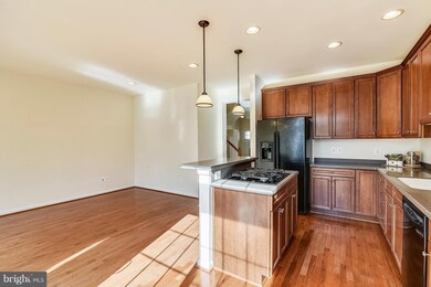 42019 Bushclover Terrace, Stone Ridge, VA 20105 - photo 7