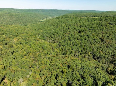 000 Hwy 65, Clinton, AR 72031 - photo 4