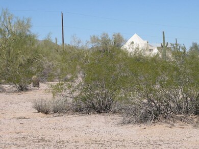 IMG_4510_5
