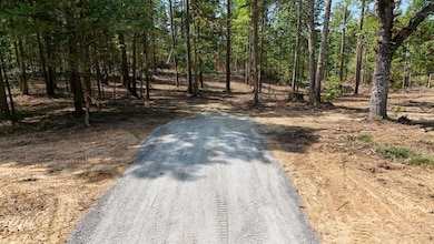 0 Richard Dorning Rd unit LotWP002 24538018, Kimmins, TN 38462 - photo 5