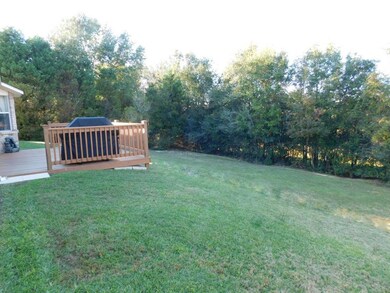 Deck and Backyard