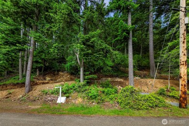 3071 Hales Passage Dr, Lummi Island, WA 98262 - photo 6