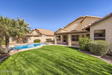 Beautiful Large Grassy Yard