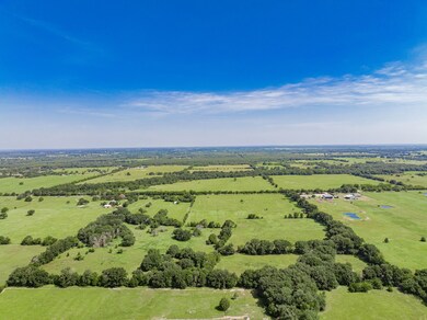 Lot 1 Cr-4064, Kemp, TX 75143 - photo 5