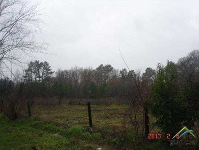 6394 County Road 21, Tyler, TX 75707 - photo 2