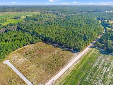 TBD Tansy Rd, Loris, SC 29569 - photo 7