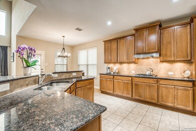 25603 Willard Path, San Antonio, TX 78261 - photo 6